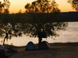 2023-09-29 SALAMANDRA II